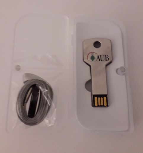 AUB USB Flash Drive Key 8GB Silver