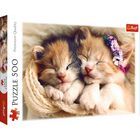 Sleeping kittens Puzzle 500 Pieces
