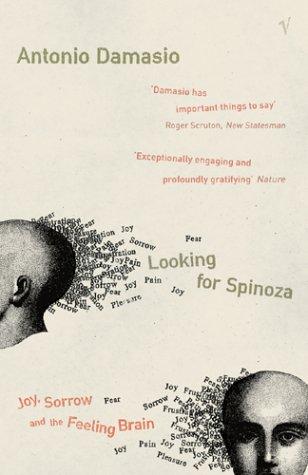 Looking For Spinoza