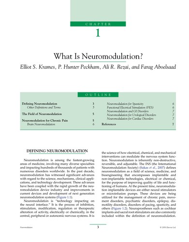 Neuromodulation (2 Volume Set)