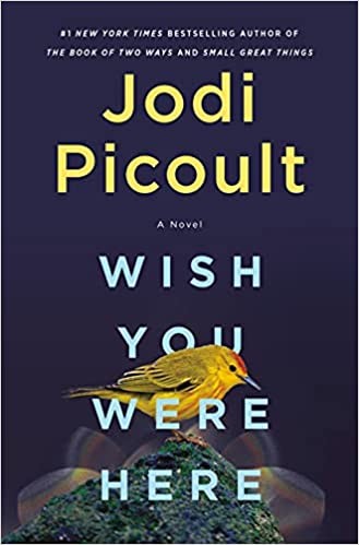 Wish You Were Here: A Novel (International Edition)