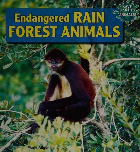 : Endangered Rain Forest Animals (Save Earth's Animals!)  (9781448874224) : Marie Allgor : Books