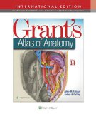 Grant’s Atlas Of Anatomy