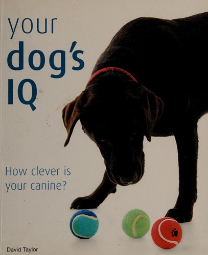 Your Dog’s Iq: How Clever Is Your Canine?