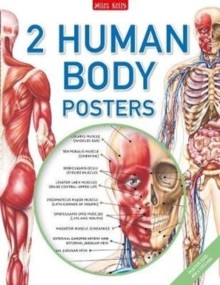 HUMAN BODY POSTER PACK