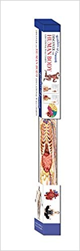 Wonders of Learning Wall Chart Discover the Human Body Poster