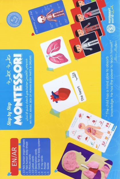 COFFRET MONTESSORI STEP BY STEP- MY FIRST ARABIC BOX OF HUMAN BODY PARTS AND ORGANS/ صندوقي التعليمي م